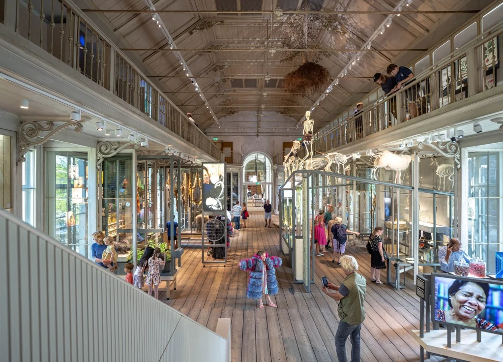 ZOO + GROOTE MUSEUM