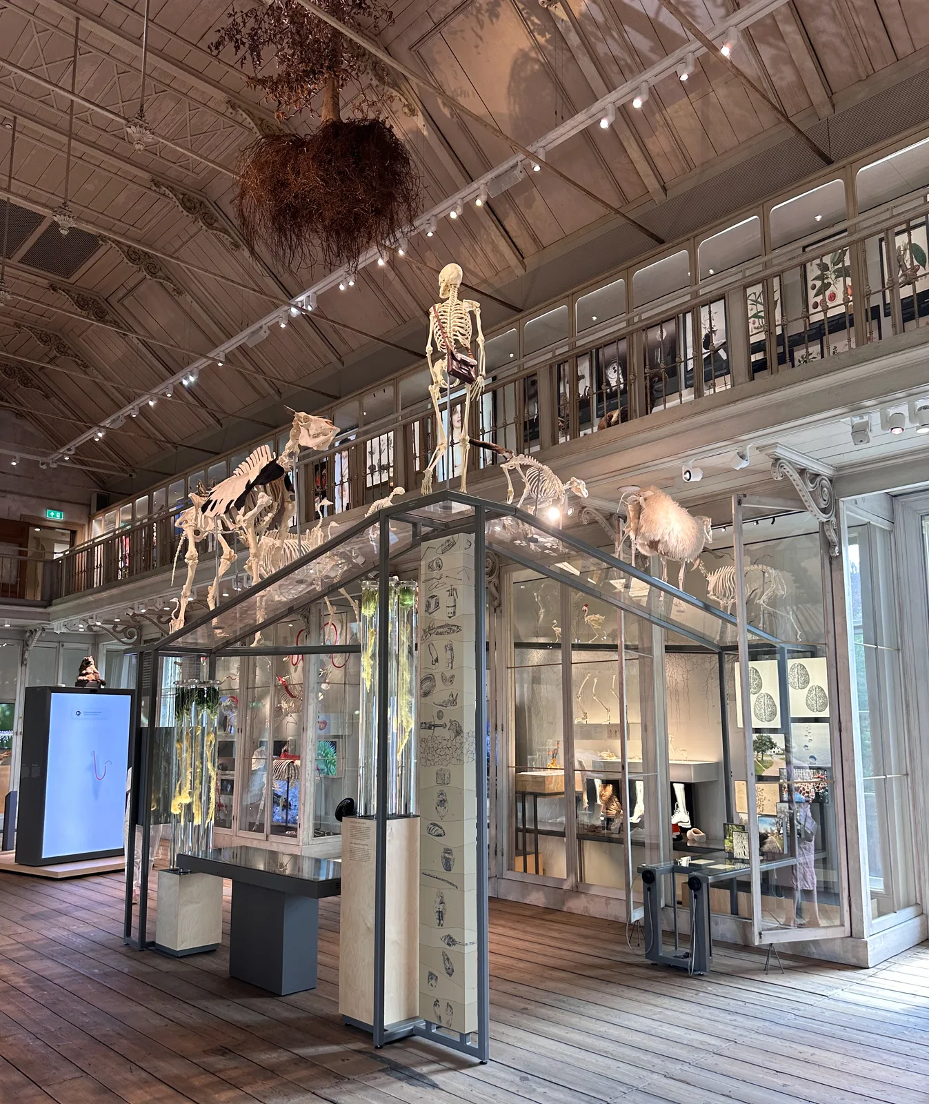 The monumental interior hall and butterfly staircase of the restored ARTIS Groote Museum