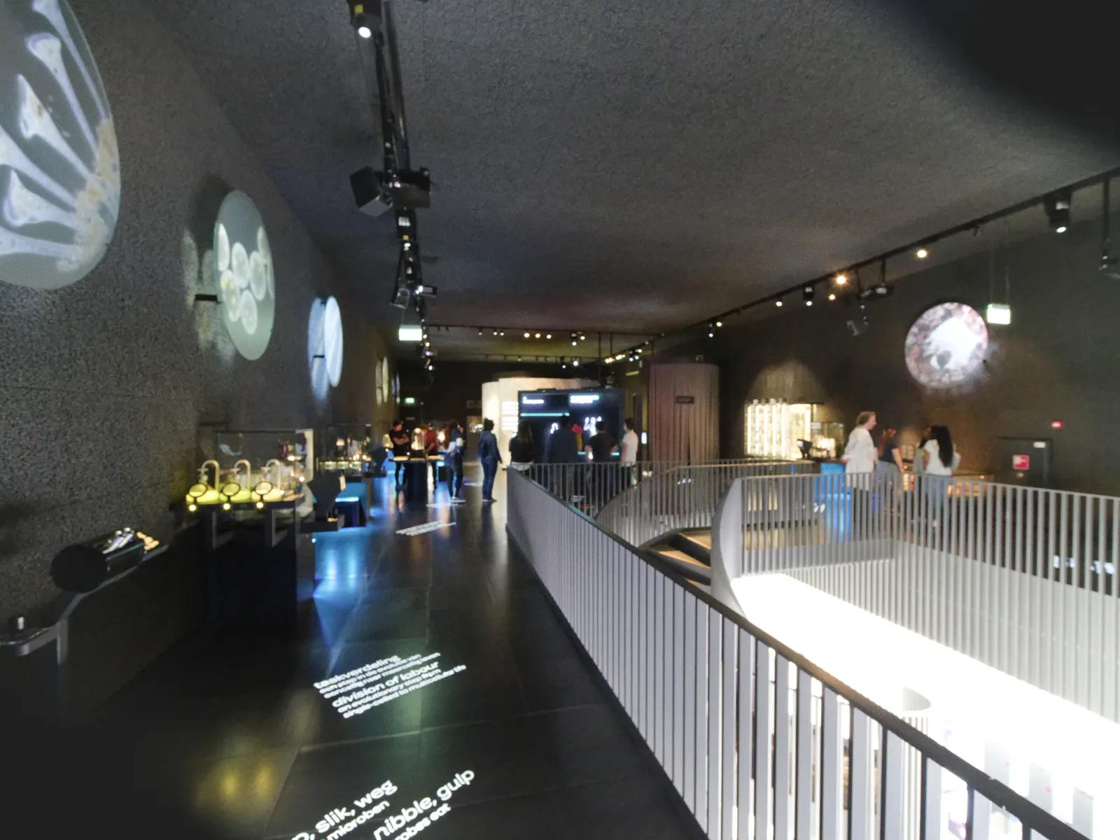 Interactive 3D microscope displays revealing microscopic organisms at ARTIS-Micropia
